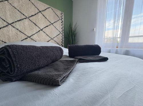 Appartement cosy centre-ville