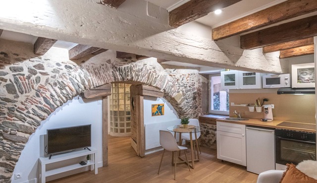 Appartement Cosy Dans une Bâtisse du 17 ème Siècle - Chaleureux - Hypercentre