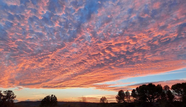 Appartement Cosy Face à la Garrigue Dans un Village Gardois