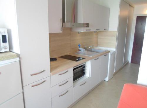 Appartement cosy proche des thermes, animaux admis - FR-1-503-61