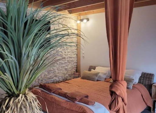 Appartement cosy & piscine privée - Le Strelitzia