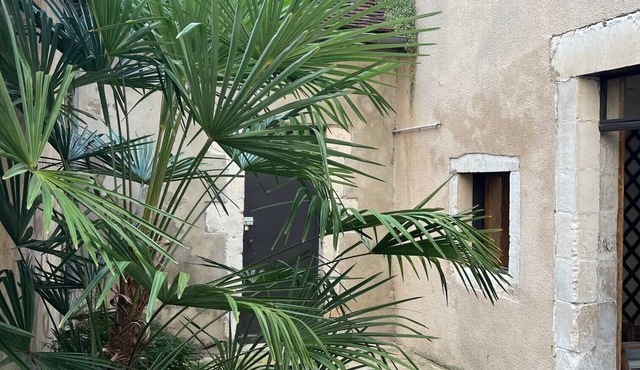 Appartement Cosy Plein Centre - Espaces Extérieurs Privés