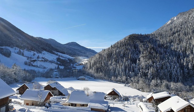 Appartement Dans Chalet