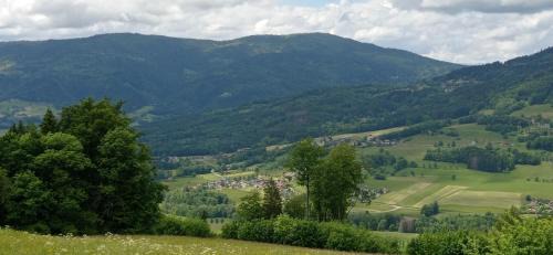 appartement dans ancien chalet d'alpage