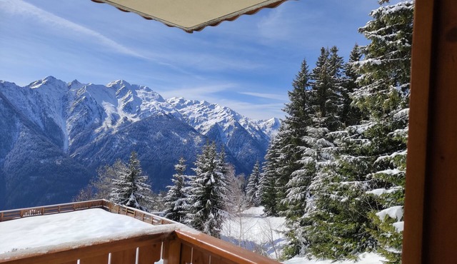 Appartement dans chalet Bisanne 1500