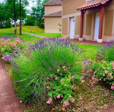 Appartement dans joli village de vacances 47150