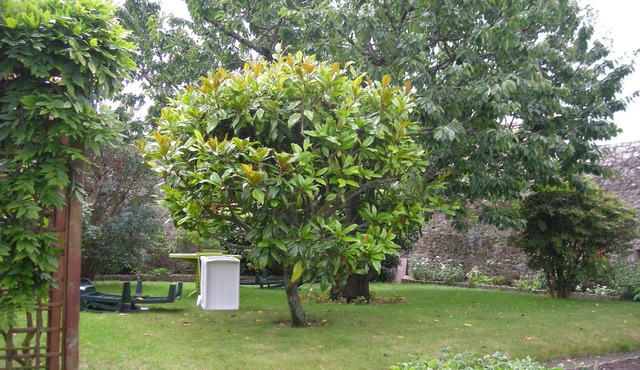 Appartement Dans Maison de Caractère Avec Très Beau Jardin Arboré