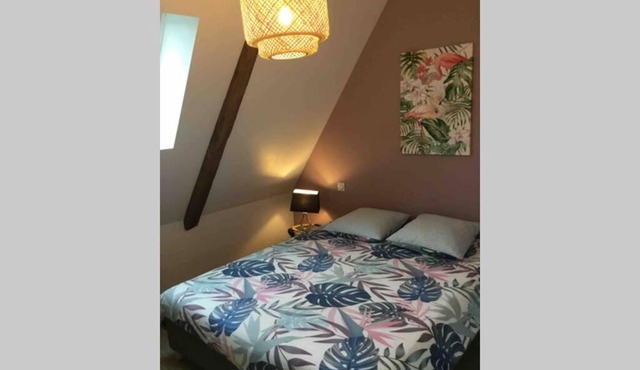 Appartement dans maison de 1789 au centre de Vitré