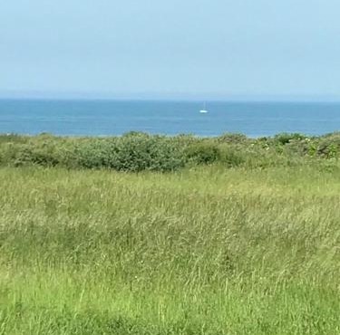 Appartement dans Résidence les Dunes du Golf