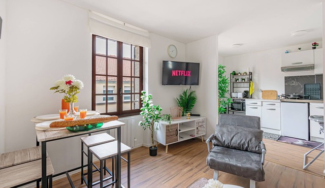 Appartement de 38m2, 1 à 7 Personnes, Cdg, Jo24, Disneyland Paris 28min