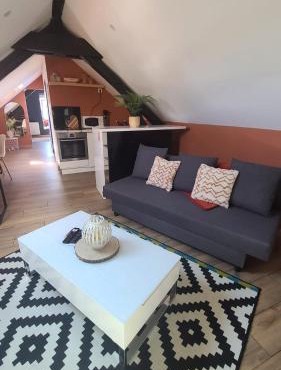 Appartement de 50m cosy et bien aménagé