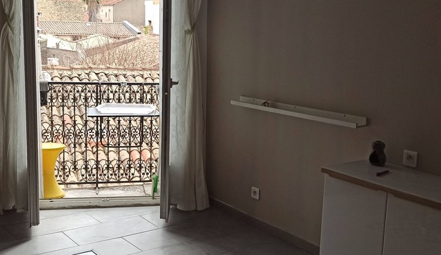 Appartement DE Caractere Lumineux AU Centre Ville