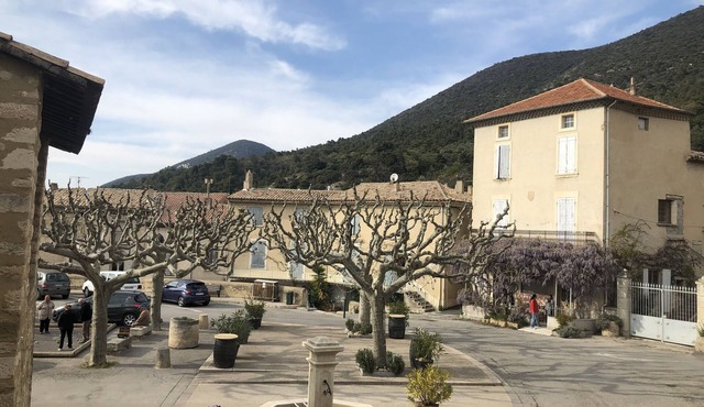 Appartement de Caractère Provençal