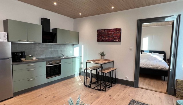 Appartement de Charme Type F2 Mulhouse Ville