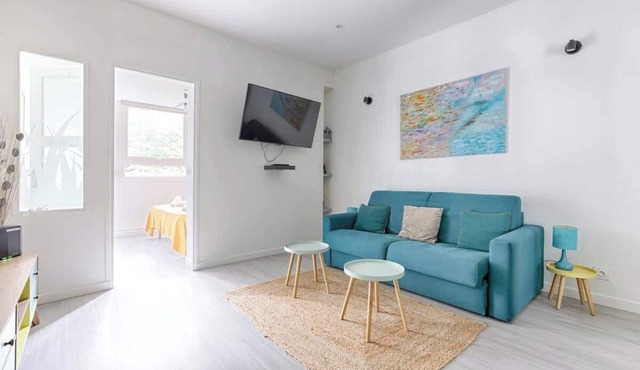 Appartement de charme Gambetta Saint Fargeau IV