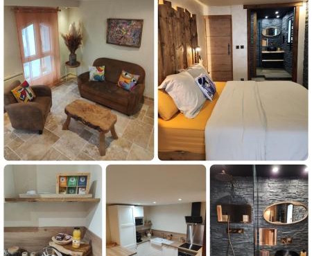 Appartement design et chaleureux en centre ville