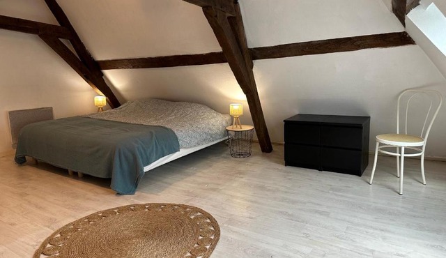 appartement duplex proche de la gare et du centre ville