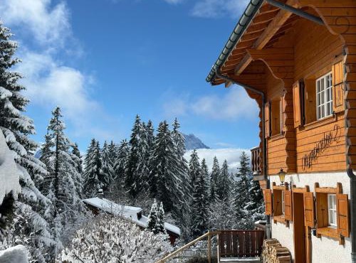 Appartement en duplex à 100m des pistes et dans la nature