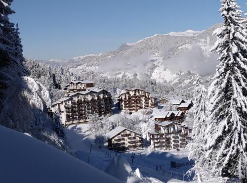 Appartement en résidence skis aux pieds avec sauna