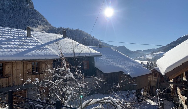 Appartement en RDC Dune Ancienne Ferme