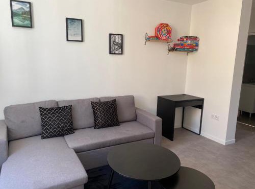 Appartement entier plein centre MIRANDE