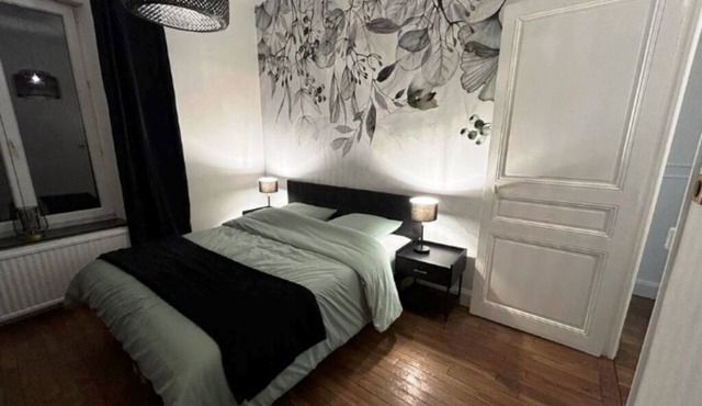 Appartement F2 Plein de Charme, Quartier Nancy-thermal, Face à L'artem