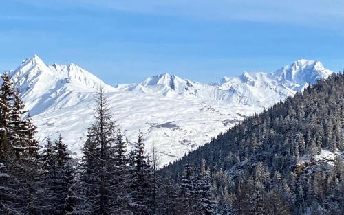 Appartement 4-5 Personnes La Plagne 1800