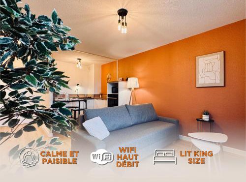 Appartement Graulhet le nid de carivel