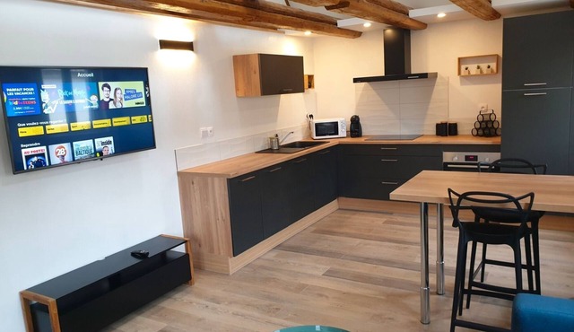 Appartement HANSI - Superb duplex in renovated Alsatian house!