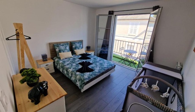 Appartement Hyper Centre Cosy avec Balcon