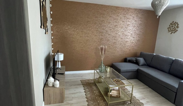 Appartement Idéalement Placé en Plein Coeur de Ville de Rodez