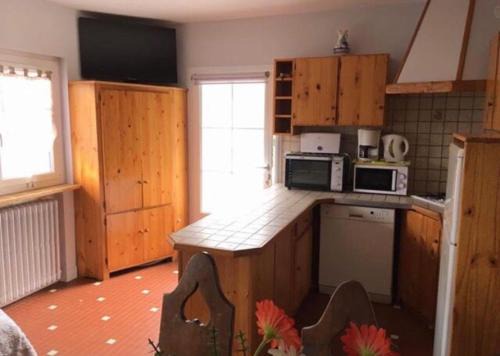 Appartement Ilhéou été et hiver 1 à 5 personnes Cauterets