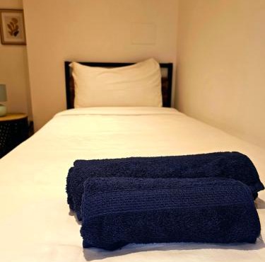 Appartement Les Chats Hayange