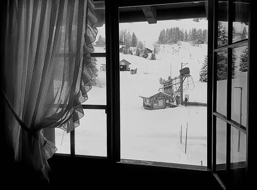Appartement les Myosotis