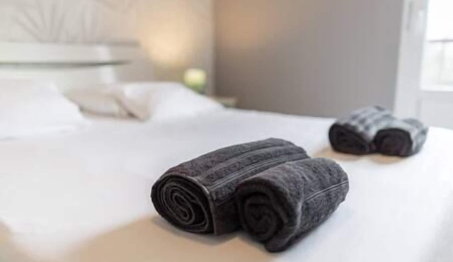 Appartement Les Oiseaux Thionville