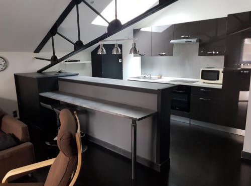 APPARTEMENT LOFT CROIX LILLE
