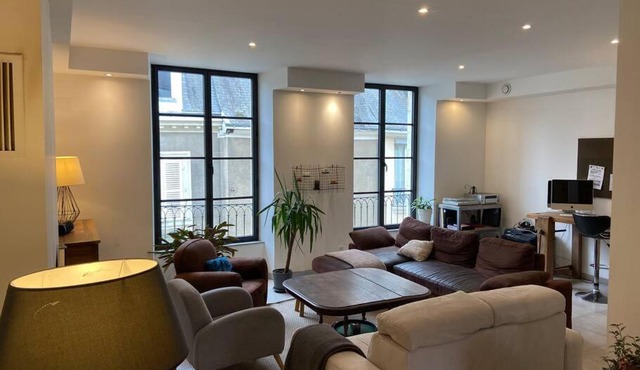 Appartement loft hyper centre