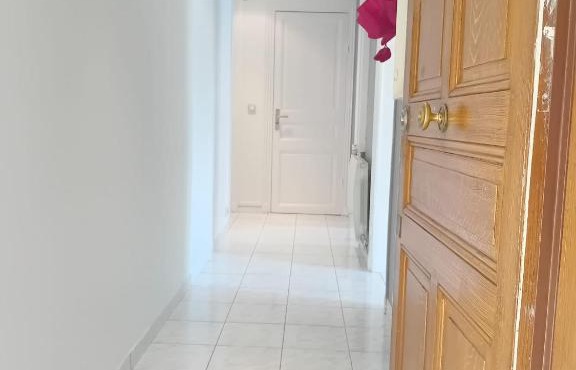 Appartement lumineux à Arcueil-Cachan