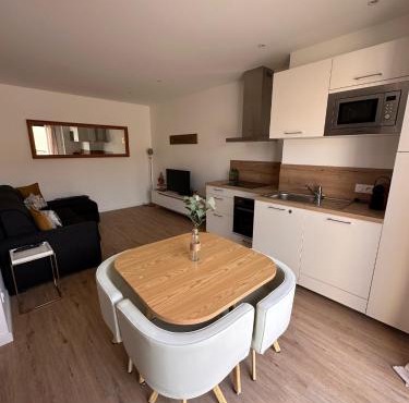 Appartement LYS aéroport, Eurexpo, Groupama stadium, Arena LDLC