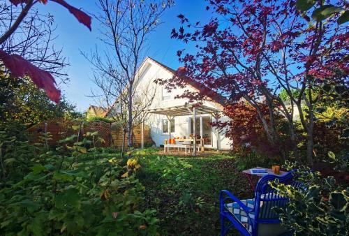Appartement-maison avec jardin