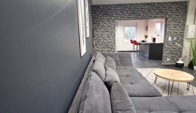 Appartement Meublé Rénové et Neuf