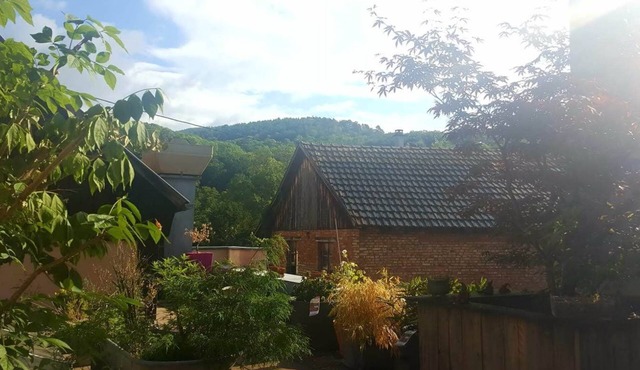 Appartement Moderne au Coeur de Munster