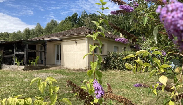 Appartement Noir et Anis