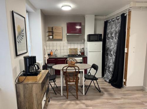 Appartement plein centre