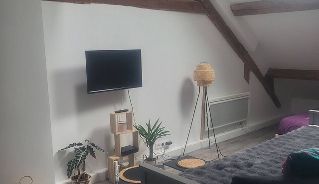 Appartement Plein de Charme