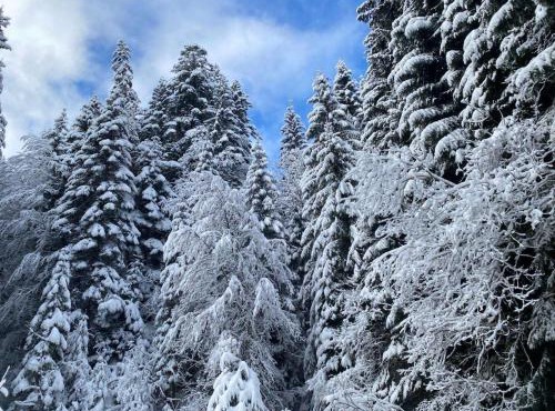 Appartement pour 4 avec parking