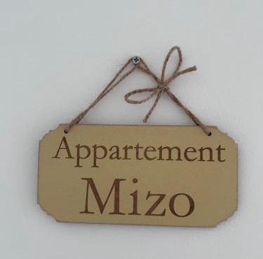 Appartement proche zenith "mizo"