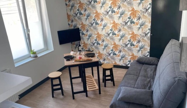 Appartement Proche Centre/gare