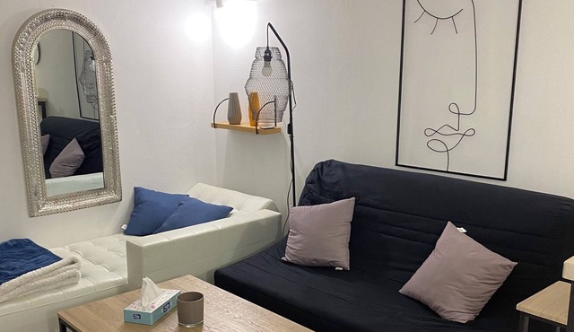 Appartement Proche de la Vieille Ville et de la Pépinière !