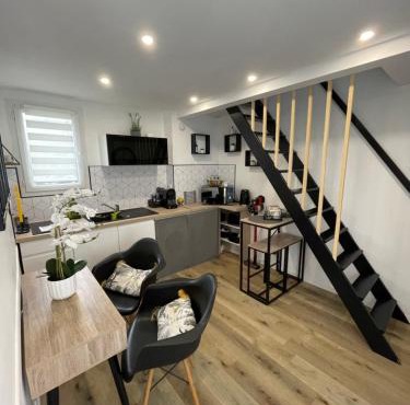 Appartement proche Zenith & Polyclinique